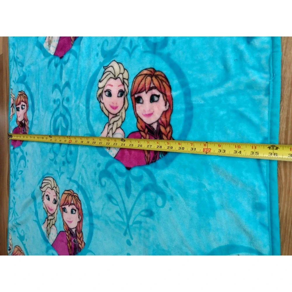 Northwest Disney FROZEN Elsa Anna HEART FRAMES Plush Silk Touch Fleece Throw